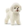 SCHLEICH 13963 - Farm World - Bichon Frisé -Spielzeugparadies 13963 MAIN 600x600