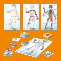 KOSMOS 711498 - Kinderspiel - WAS IST WAS Junior - Mein Körper -Spielzeugparadies 4002051711498 1 600x600