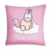 NICI 41883 - Kissen - Lieblingswolke, 37 X 37 Cm -Spielzeugparadies 4012390418835 0 600x600