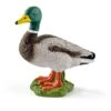 SCHLEICH 13824 - Farm World - Erpel 1 SCHLEICH 13824 - Farm World - Erpel -Spielzeugparadies 4055744012457 0 600x600