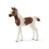 SCHLEICH 13839 - Horse Club - Araber Pinto Fohlen 1 SCHLEICH 13839 - Horse Club - Araber Pinto Fohlen -Spielzeugparadies 4055744013768 0 600x600
