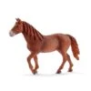 SCHLEICH 13870 - Horse Club - Morgan Horse Stute