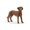 SCHLEICH 13895 - Farm World - Rhodesian Ridgeback 1 SCHLEICH 13895 - Farm World - Rhodesian Ridgeback -Spielzeugparadies 4059433007229 0 600x600