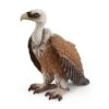 SCHLEICH 14847 - Wild Life - Geier 1 SCHLEICH 14847 - Wild Life - Geier -Spielzeugparadies 4059433267432 0 600x600