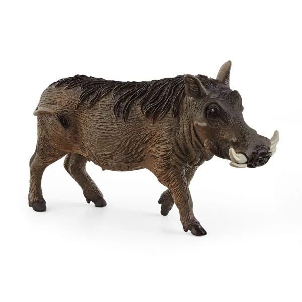 SCHLEICH 14843 - Wild Life - Warzenschwein 3 SCHLEICH 14843 - Wild Life - Warzenschwein