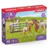 SCHLEICH 42433 - Horse Club - Lisas Turnier-Training 1 SCHLEICH 42433 - Horse Club - Lisas Turnier-Training -Spielzeugparadies 42433 0 2022 600x600