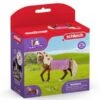 SCHLEICH 42468 - Horse Club - Paso Fino Hengst Pferdeshow -Spielzeugparadies 42468 0 2022 600x600