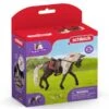 SCHLEICH 42469 - Horse Club - Rocky Mountain Horse Stute Pferdeshow 1 SCHLEICH 42469 - Horse Club - Rocky Mountain Horse Stute Pferdeshow -Spielzeugparadies 42469 0 2022 600x600