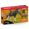SCHLEICH 42603 - Wild Life - Elchkuh Mit Kalb (NatGeo) 1 SCHLEICH 42603 - Wild Life - Elchkuh Mit Kalb (NatGeo) -Spielzeugparadies 42603 PACKSHOT 600x600