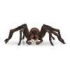 SCHLEICH 13987 - Wizarding World - Aragog 2 SCHLEICH 13987 - Wizarding World - Aragog -Spielzeugparadies schleich 13987 wizarding world aragog 0 600x600