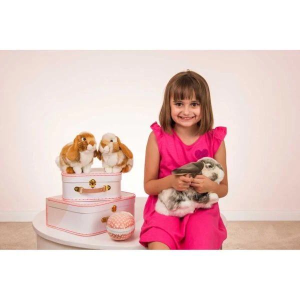 Teddy Hermann 937975 - Kuscheltier - Widderkaninchen Grau Weiß, 30cm 4 Teddy Hermann 937975 - Kuscheltier - Widderkaninchen Grau Weiß, 30cm – Bild 2